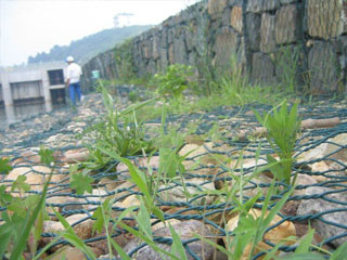 生態(tài)格網
